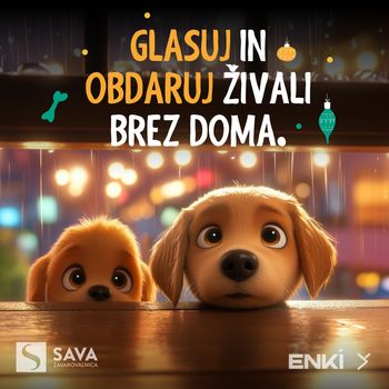 Kampanja ozaveščanja, da živali NISO DARILO. Glasujte za lokalno Društvo za lepše mačje življenje Vojnik.