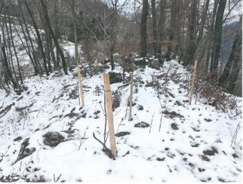 Pogozditev Male Mežakle za zmanjšanje vpliva deponije