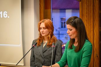 Novomeški mladi upi