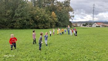 Gozdna pedagogika: učenje skozi igro in povezanost z naravo