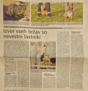 DZLMZ V Novem Tedniku o problematiki pomoči potrebnih mačk