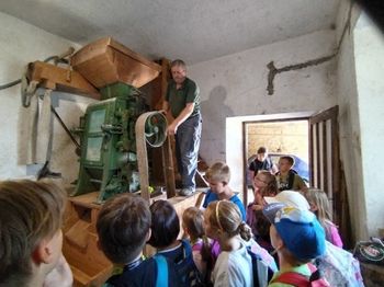 »Kjer je bil studenec,tam je bil mlin!« – Pogovorni večer o dediščini mlinarstva v Vipavski dolini