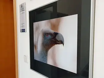 Razstava Marka Burnika v prostorih Občine Jesenice