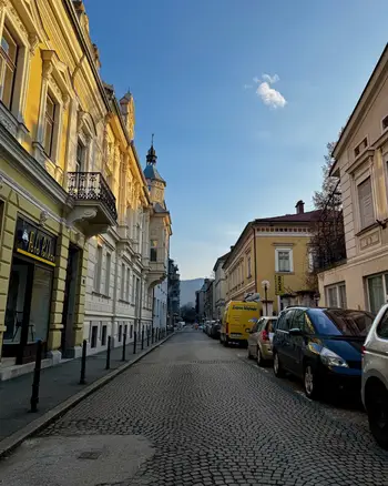 Kmalu začetek del na zadnjem odseku pri obnovi Razlagove ulice 