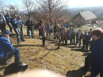 PRIKAZ REZI SADNEGA DREVJA NA LISCU