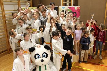 Vsako leto več tekmovalcev na Kamniškem judo panda turnirju