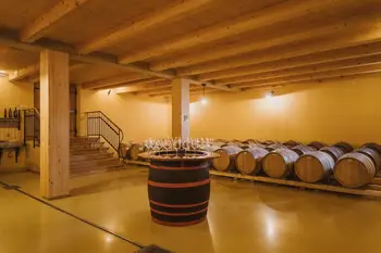 Kruh in vino: Vina Sveti Martin
