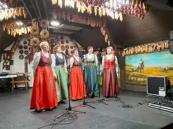 LJUDSKE PEVKE S TELČ NA FESTIVALU V BUDIMPEŠTI