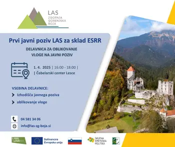 Delavnica oblikovanja vloge za Prvi javni poziv LAS za sklad ESRR