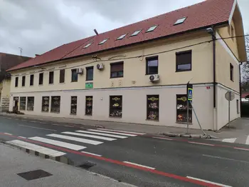 Ulice, trgi in ceste našega mesta: Gubčeva ulica