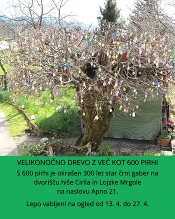 Velikonočno drevo z več kot 600 pirhi