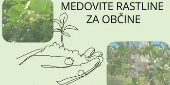Medovite rastline za občine