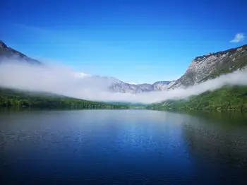 Harmonija vode, gozda in melišč, botanično vodenje po severni obali Bohinjskega jezera z dr. Petrom Skobernetom in cvetlični meni v hotelu Jezero