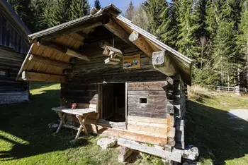 Škrat Polesnjak in planinsko cvetje ob Bregarjevem in Knoflnovem stanu