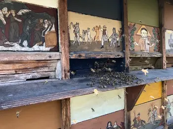 Delavnica poslikave panjskih končnic z Anjo Bunderla