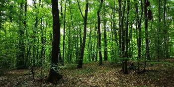 Delavnica idej za Park Vrtojba