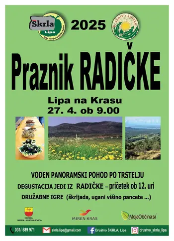 Praznik radičke, Lipa na Krasu