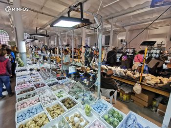 51. MINFOS 2025 - Mednarodni dnevi mineralov, fosilov in okolja