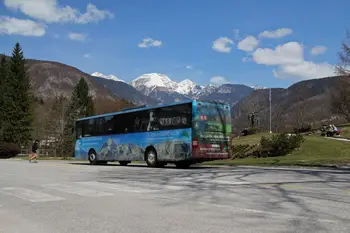 Organizirani avtobusni prevozi po Bohinju med prvomajskimi počitnicami