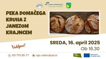 Peka domačega kruha (delavnica)