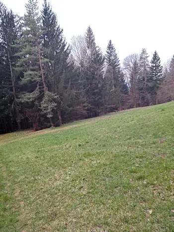 Izlet PD na Čemšeniško planino 13.4.2025