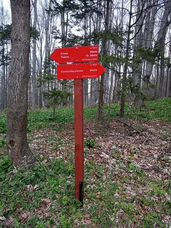 Izlet PD na Čemšeniško planino 13.4.2025