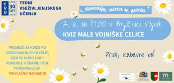 KVIZ - MALE VOJNIŠKE CELICE
