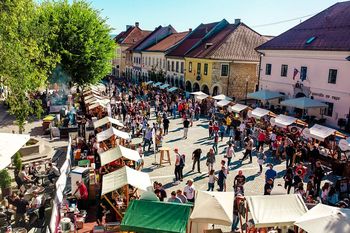 Odprt drugi rok razpisa za programe in projekte organizacij in posameznikov