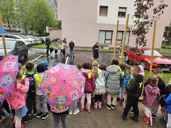 Zasaditev drevesnih sadik na Plavžu