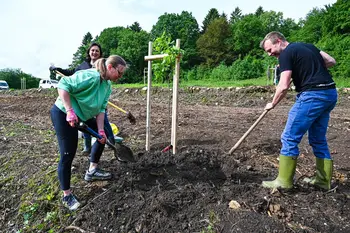 V Portovalu zasadili 30 dreves za bolj zeleno prihodnost