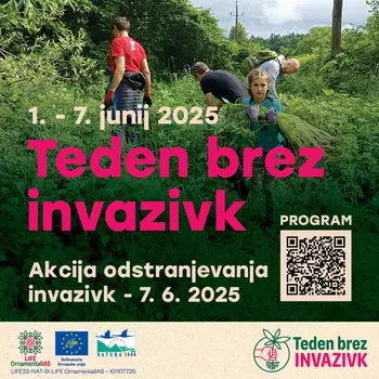 Očistimo Gorenjsko invazivk Očistimo Gorenjsko invazivk