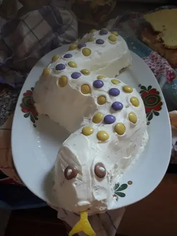 Torta v obliki kače Foto: Nika Leben