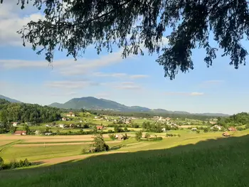 Mi torkovci