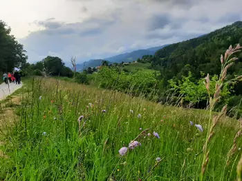 Mi torkovci