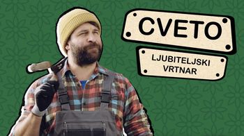 Spomladansko urejanje vrta naj bo brez invazivk!