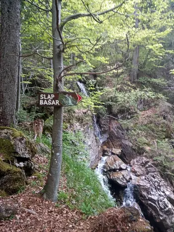 Mladi planinci na Golici 17.5.2025