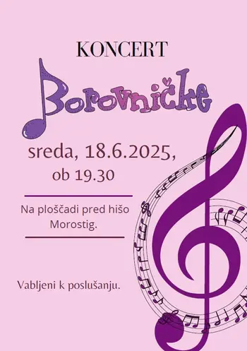 Koncert Borovničk
