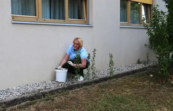 Bravo, ekipa!