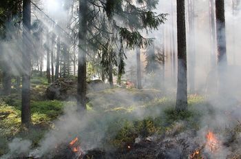Razglašena velika požarna ogroženost naravnega okolja