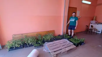 Dostava sadik po neurju