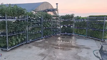 Donacija zelenjave in rož po neurju
