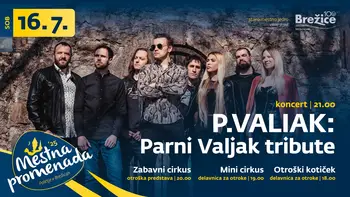 P.VALIAK: VEČER ZA ROCK ENERGIJO!