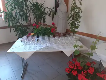 22. podelitev priznanj vojniških vinogradnikov 