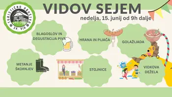 Vidov sejem