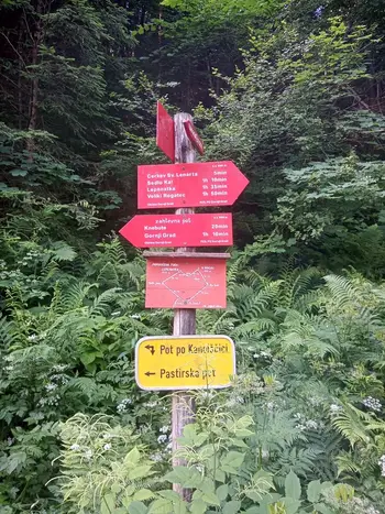 PD na Lepenatki in Velikem Rogaču 15.6.2025