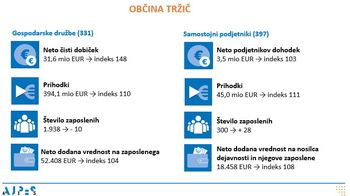 Rezultati poslovanja gospodarskih družb in samostojnih podjetnikov v letu 2024
