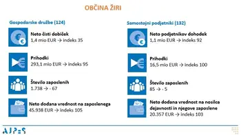 Rezultati poslovanja gospodarskih družb in samostojnih podjetnikov v letu 2024
