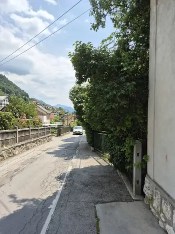 Vzdrževanje rastlinja ob občinskih cestah je odgovornost lastnikov zemljišč