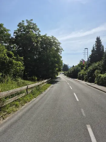 Vzdrževanje rastlinja ob občinskih cestah je odgovornost lastnikov zemljišč