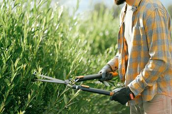 Vzdrževanje vegetacije ob občinskih cestah